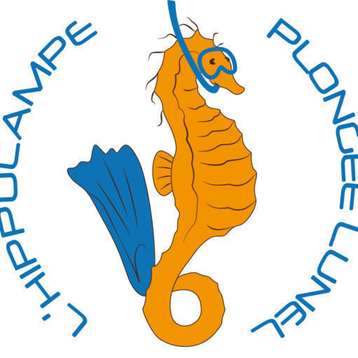 cropped-cropped-cropped-cropped-cropped-cropped-hippocampe-logo-version3-1.jpg